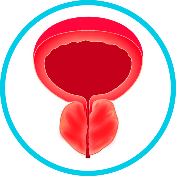 Symptômes de la prostatite